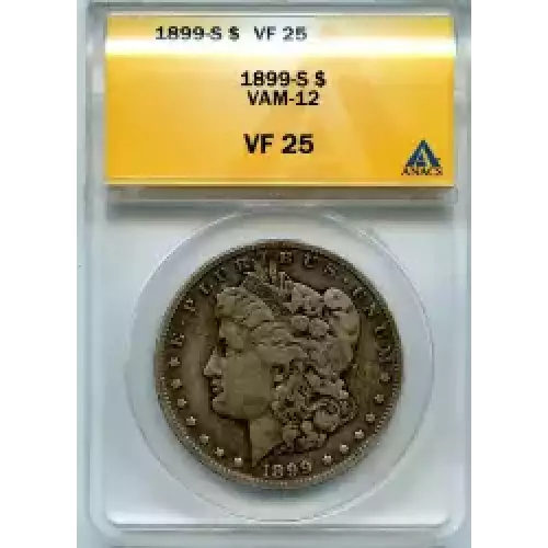 Morgan Silver Dollar (3)