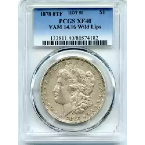 Morgan Silver Dollar (3)