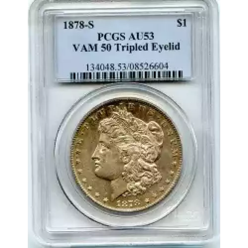 Morgan Silver Dollar (3)