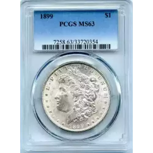 Morgan Silver Dollar (3)