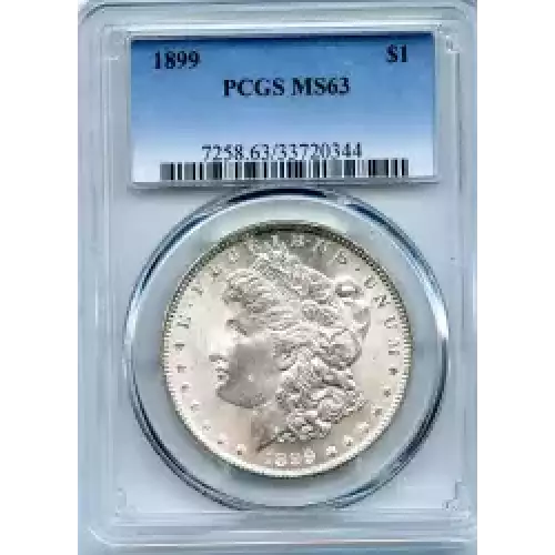 Morgan Silver Dollar (3)