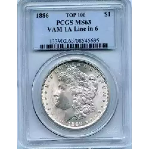 Morgan Silver Dollar (3)