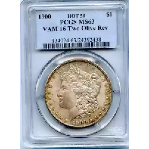 Morgan Silver Dollar (3)