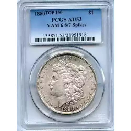 Morgan Silver Dollar (3)