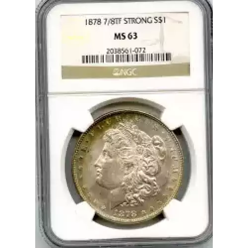 Morgan Silver Dollar (3)