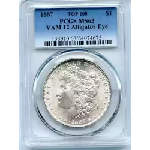 Morgan Silver Dollar (3)