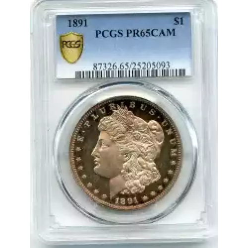 Morgan Silver Dollar (3)