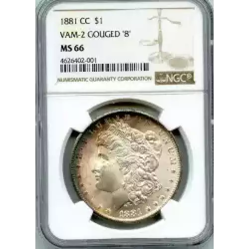 Morgan Silver Dollar (3)