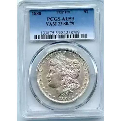 Morgan Silver Dollar (3)