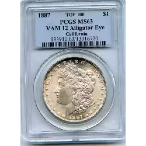 Morgan Silver Dollar (3)