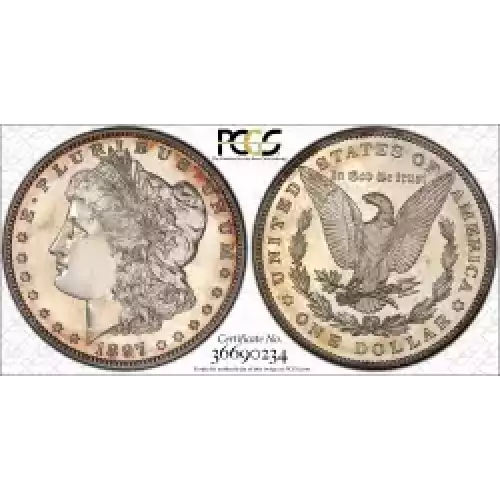 Morgan Silver Dollar (3)