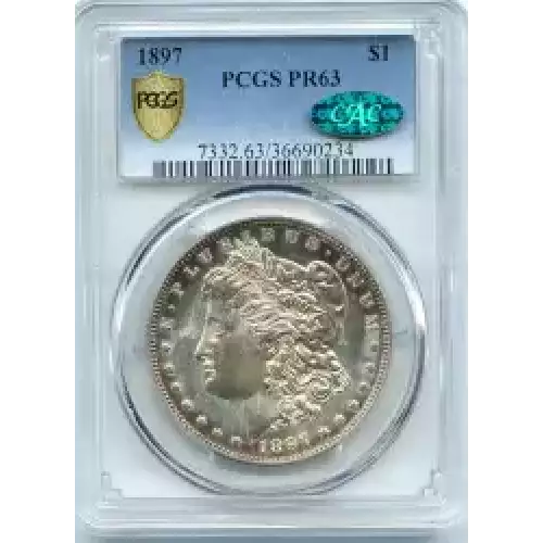 Morgan Silver Dollar (3)