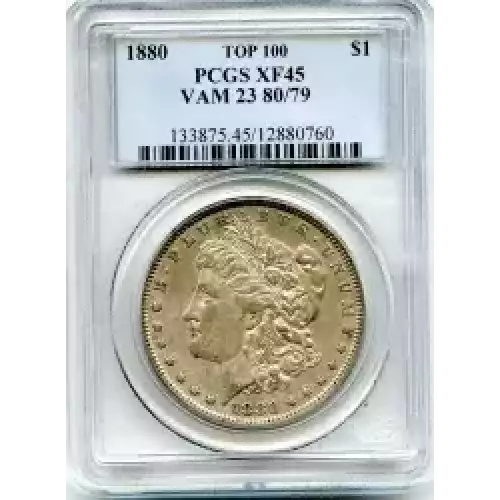 Morgan Silver Dollar (3)