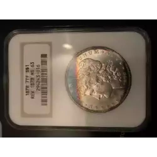 Morgan Silver Dollar (3)