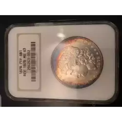 Morgan Silver Dollar (3)