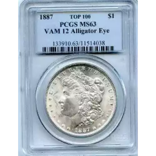 Morgan Silver Dollar (3)