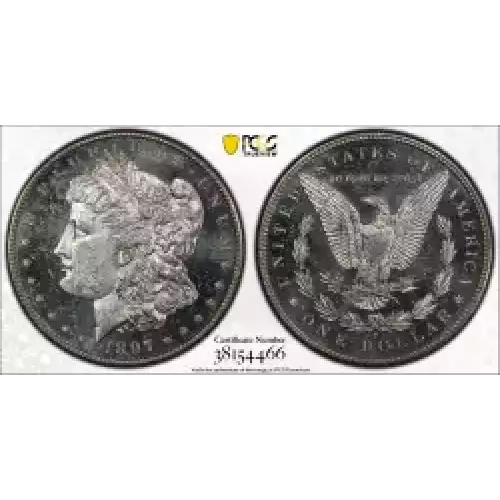 Morgan Silver Dollar (3)