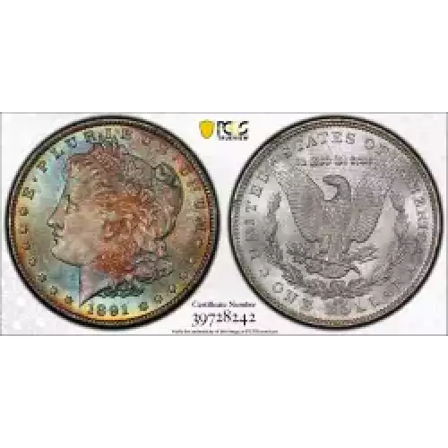 Morgan Silver Dollar (3)