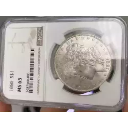 Morgan Silver Dollar (3)