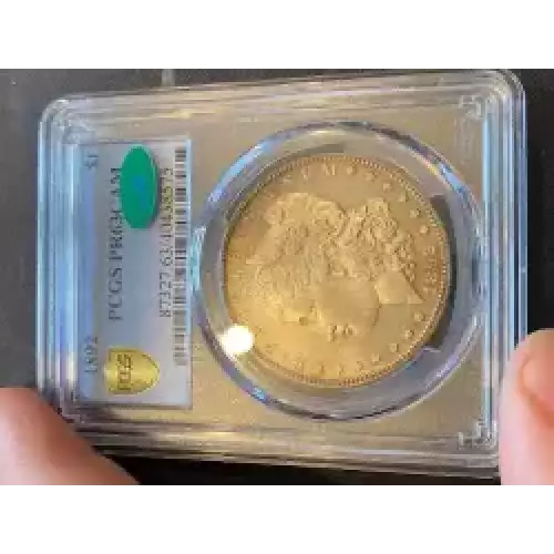 Morgan Silver Dollar (3)