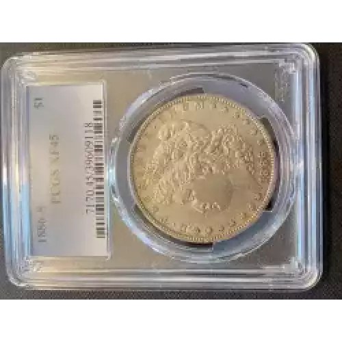 Morgan Silver Dollar (3)