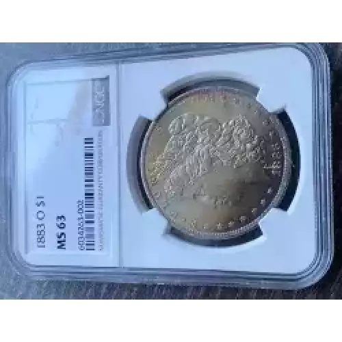 Morgan Silver Dollar (3)