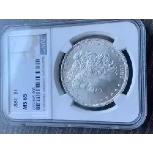 Morgan Silver Dollar (3)