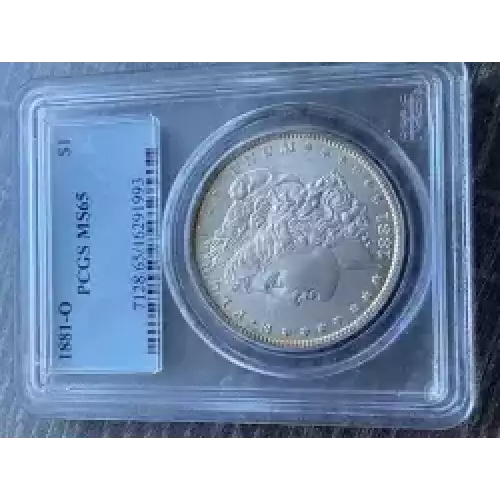 Morgan Silver Dollar (3)