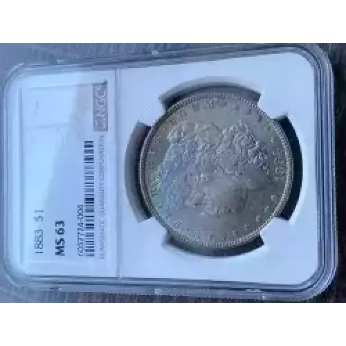 Morgan Silver Dollar (3)