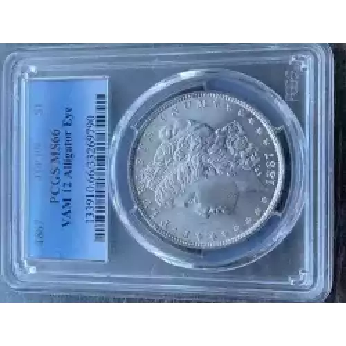 Morgan Silver Dollar (3)