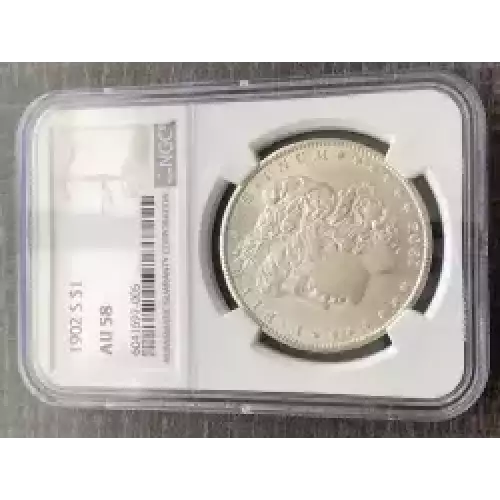 Morgan Silver Dollar (3)