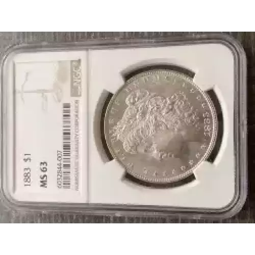 Morgan Silver Dollar (3)