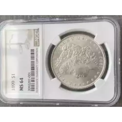 Morgan Silver Dollar (3)