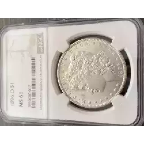 Morgan Silver Dollar (3)