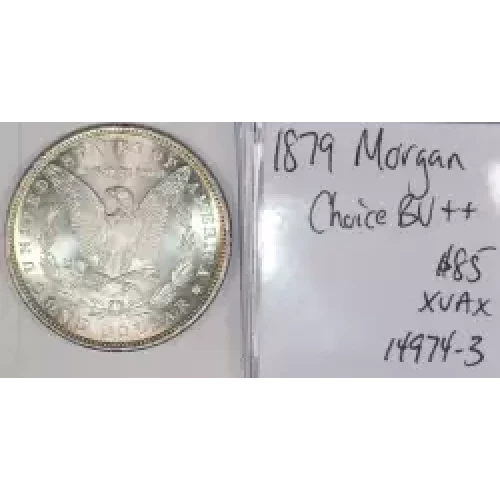 Morgan Silver Dollar (2)