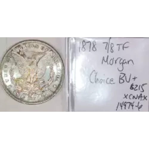 Morgan Silver Dollar