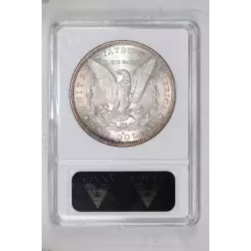 Morgan Silver Dollar