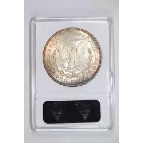 Morgan Silver Dollar (2)