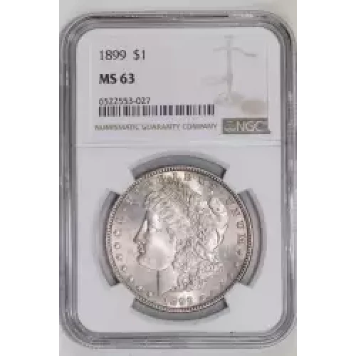 Morgan Silver Dollar