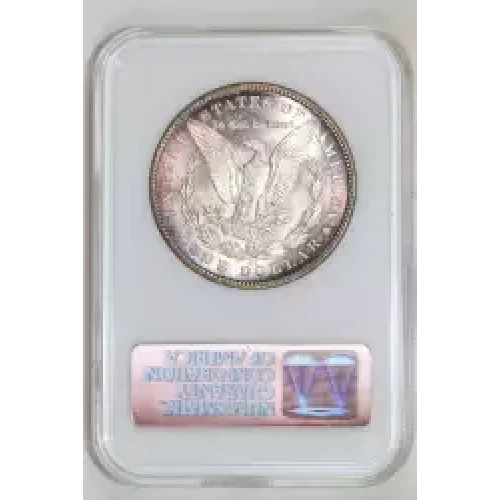 Morgan Silver Dollar (2)