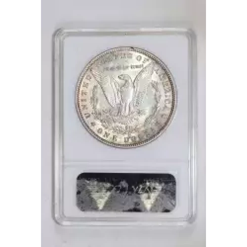 Morgan Silver Dollar (2)