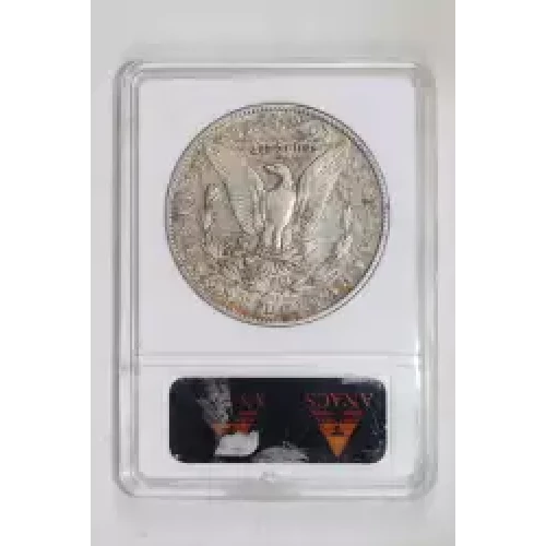 Morgan Silver Dollar (2)