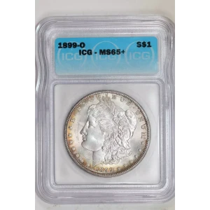 Morgan Silver Dollar