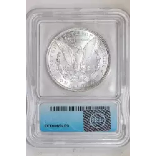 Morgan Silver Dollar (2)