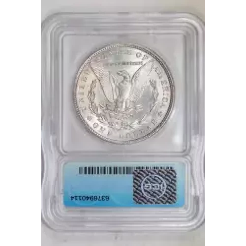 Morgan Silver Dollar (2)