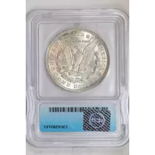 Morgan Silver Dollar (2)