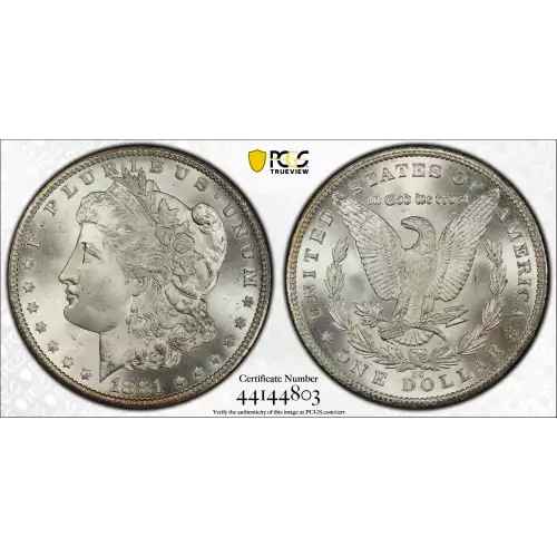 Morgan Silver Dollar (2)