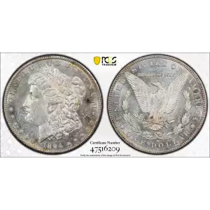 Morgan Silver Dollar (2)