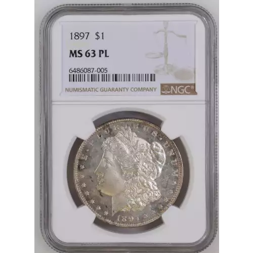 Morgan Silver Dollar (2)