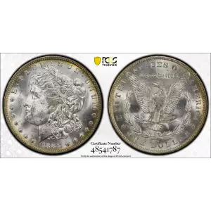 Morgan Silver Dollar (2)